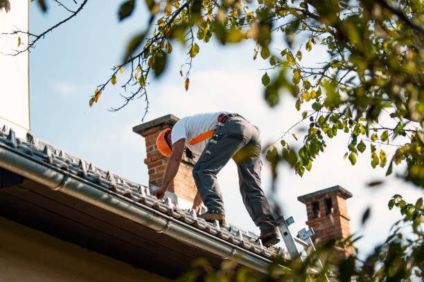 Best Flat Roof Repair Services  in Chanute, KS