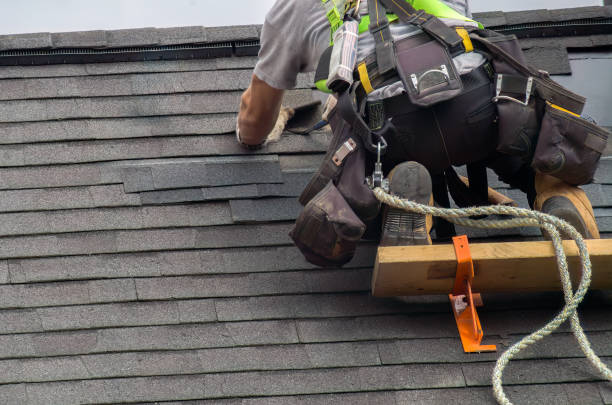 Best Residential Roofing Contractor  in Chanute, KS